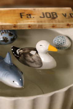 Schwimmmöwe