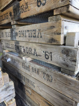 *Neu* Holzkiste "Langeoog" mit Jahreszahl: '61