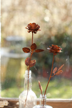 Rose in Rost