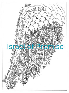 Under his Wing pdf Download