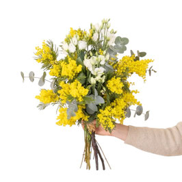 MIMOSA