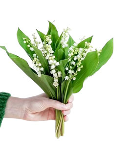Bouquet de brins de muguet