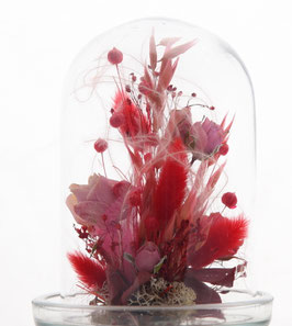 Fleurs séchées (dominante rouge)