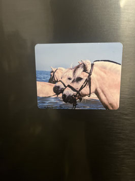 Magnet "Fjordis"