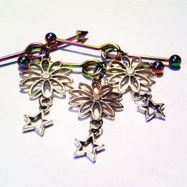 Rainbow Industrial Barbell w/ Silver Flower/Star