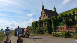 Segway-Tour Heilbronn Weinberg Wartberg