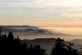 Heimat - Kandel, Schwarzwald