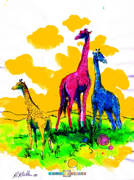 Giraffen