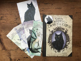 univers "Chats, charmes et sorcelleries" lot