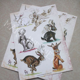 carte postale "le grimoire des étranges créatures"- Jackalopes
