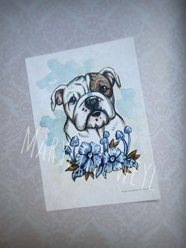 Carte postale chien - Bulldog Anglais