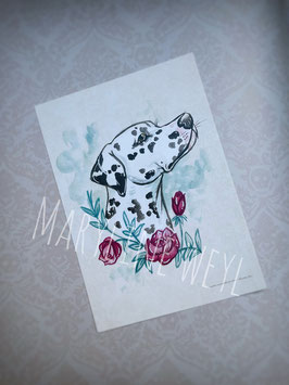 Carte postale chien - Dalmatien