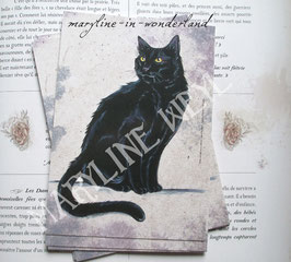 carte postale chat noir