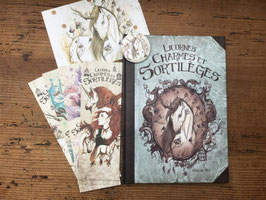 "licornes, charmes et sortilèges" lot