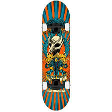 Complete deck Birdhouse Circus 7.75"