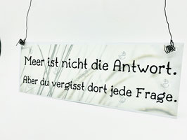 Türschild Blech wetterbeständig Meer ist nicht die Antwort