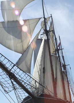 0426AJ25 -Sail in May 2025