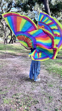 SunBurst Wings