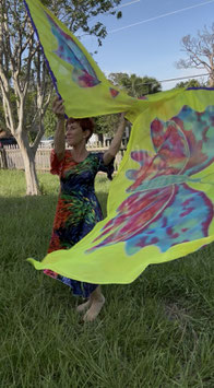 Butterflies - Yellow