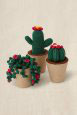 KIT CROCHET - CACTUS DE AMIGURUMI - GIFT OF STITCH