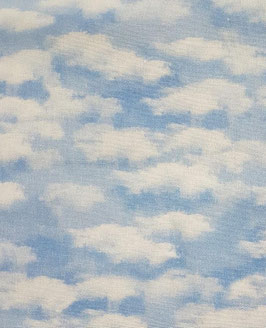 NATURALEZA 1 -CIELO-