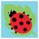 KIT MEDIO PUNTO  LADYBIRD 15 x 15 cm