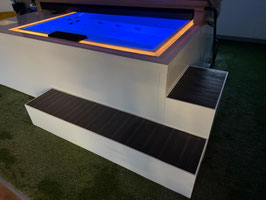 Aussteller Whirlpool "Ignis" - Element Serie - Made in EU