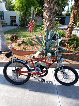GAS ENGINE / ADULT KRATE STYLE BIKE