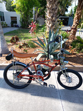GAS ENGINE / ADULT KRATE STYLE BIKE