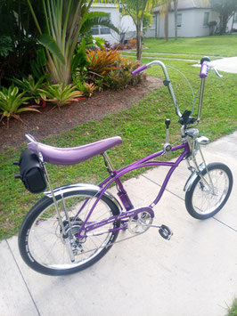 SCHWINN 'KRATE' STYLE  / E-BIKE / ADULT SIZED