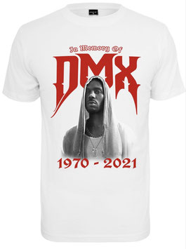 DMX Memory