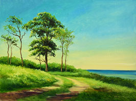 Öl auf Papier, "Graal Müritz 1", 30 x 40 cm