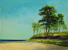Öl auf Papier, "Graal Müritz", 30 x 40 cm
