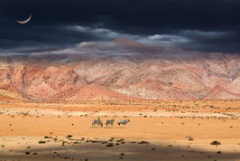Oryx at Moonmountain, Druck hinter Acryl, 120 x 80 cm, stark limitiert