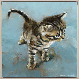 Kitten, 50 x 50 cm, Druck auf Leinwand, Auflage 180 Stück