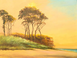 Öl auf Papier, "Darßer Weststrand", 30 x 40 cm