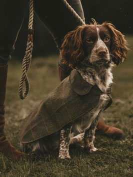 Derby Tweed Dog Coat - Tweed Mantel für Hunde