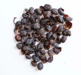 Cascara Tee Moyobamba, Peru