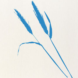 grasses in blue