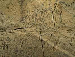 CHRONOLOGIE ROST NO. II