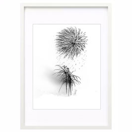 Feuerwerksfotografien – Negativ & Schwarz-Weiß