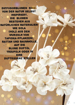 Duftblume