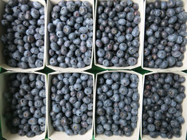 Heidelbeeren