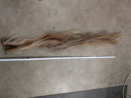 Pferdeschweif S 60
