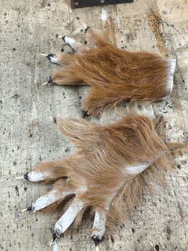 Handschuhe H 20