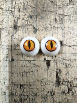 Auge 43