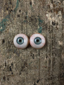 Auge 7