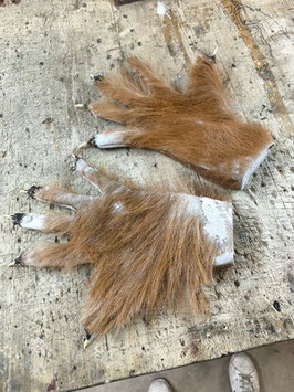 Handschuhe H 71