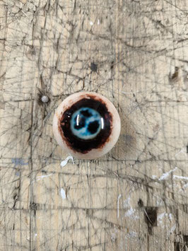 Auge 61