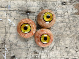 Auge 51